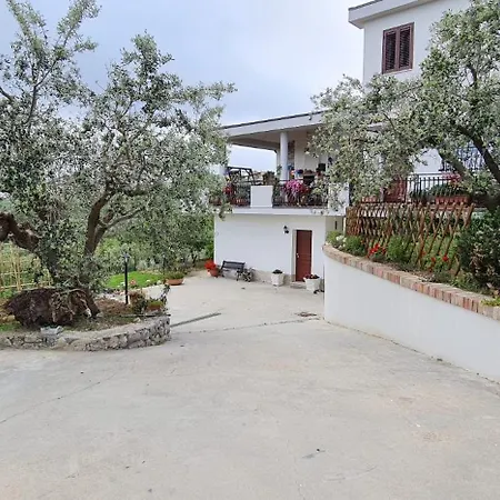 Dom wakacyjny House Aragona *